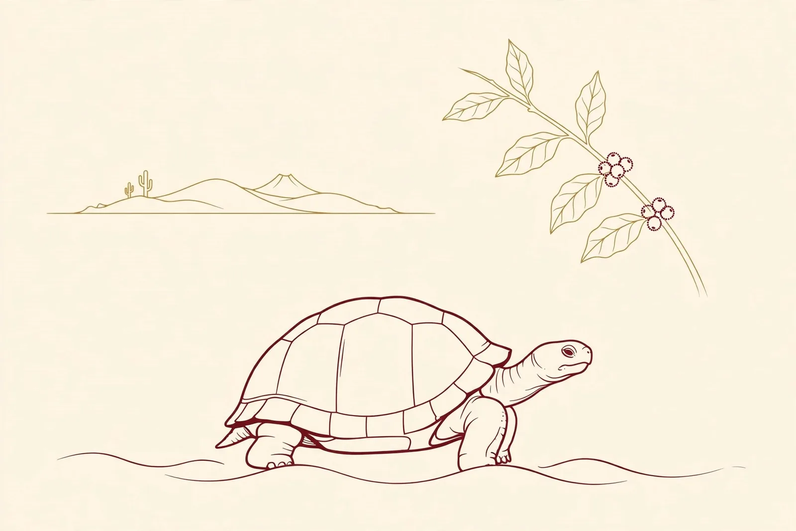 ガラパゴスのゾウガメとコーヒーの枝の線画イラスト