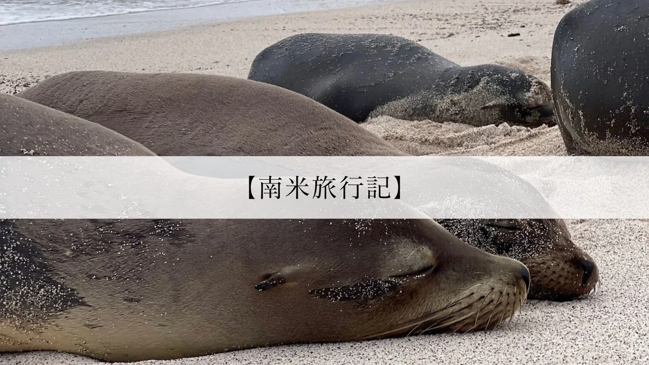南米旅行記のアイキャッチ — ガラパゴスの砂浜で眠るアシカ